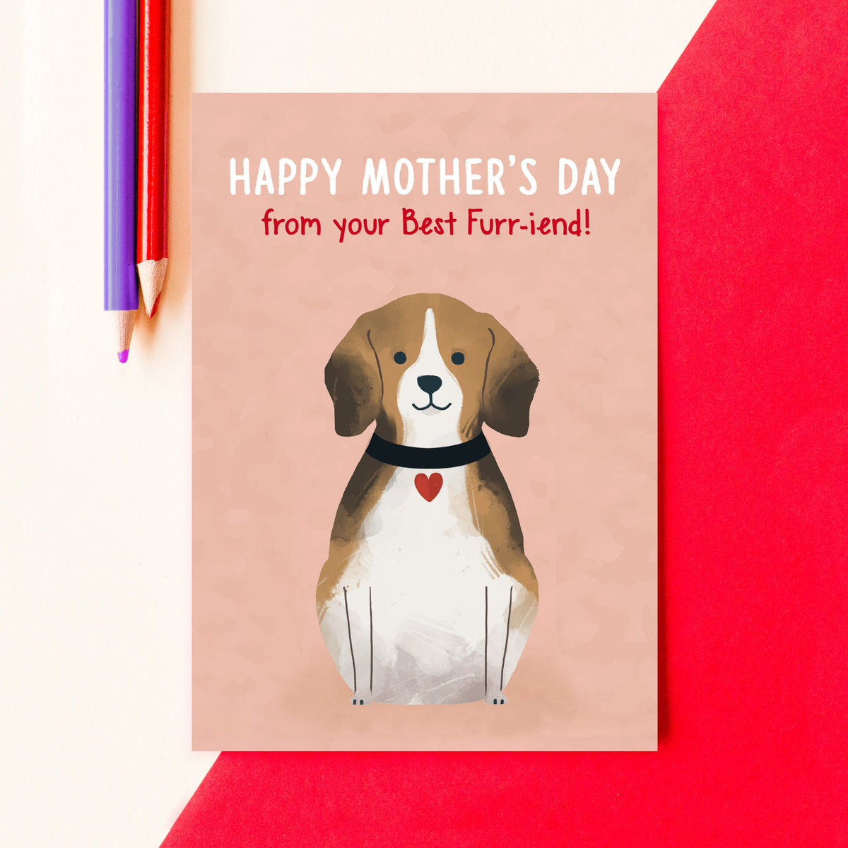 'Best Furr-iend' Mother's Day Card from Dog